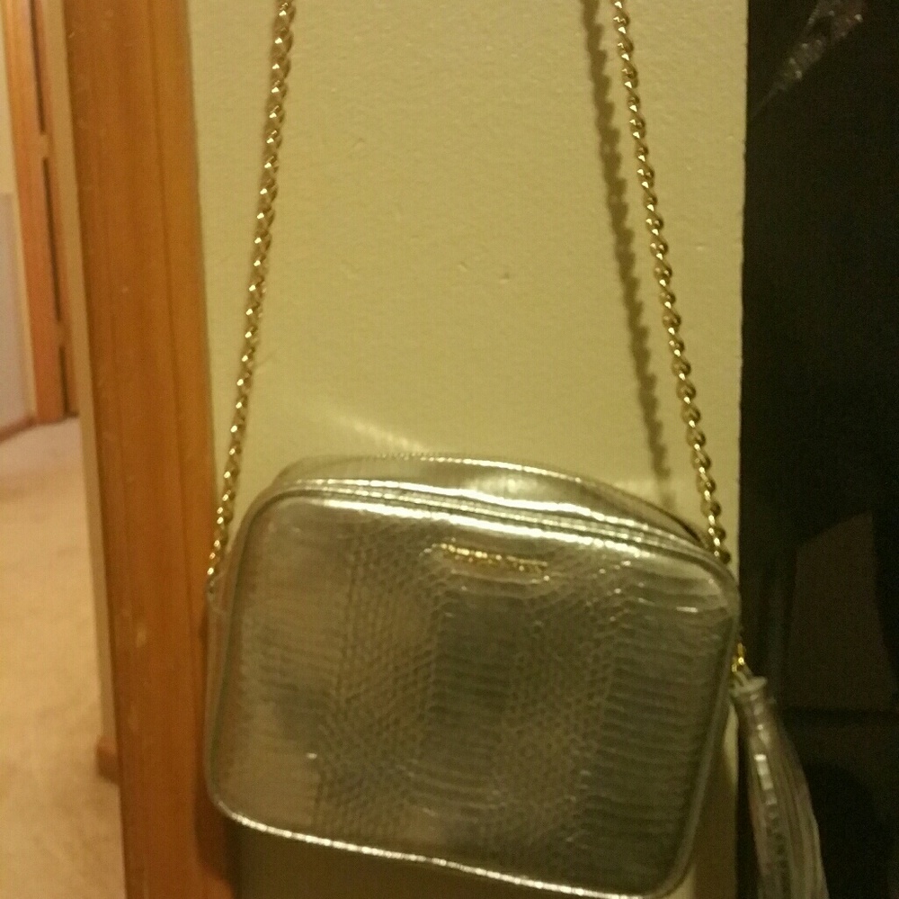 Victorias Secret handbag/purse SILVER