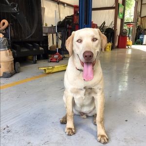 Meet your Posher, Justin