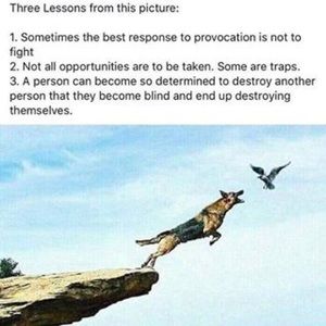 Meet your Posher, Prince