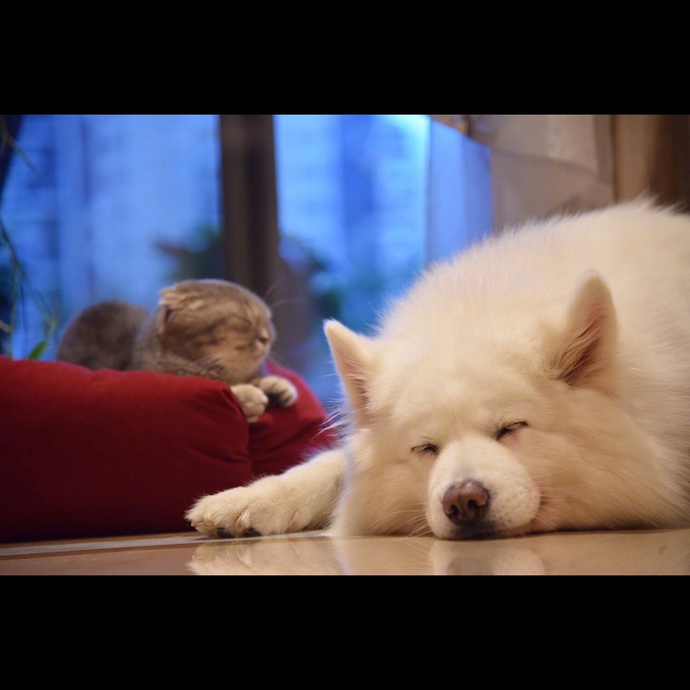 Meet your Posher, Yt