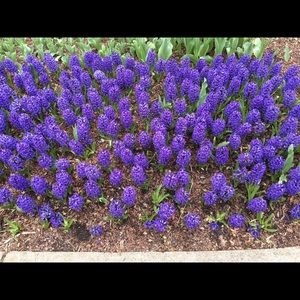 Meet your Posher, Candice