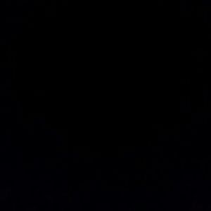 Meet your Posher, Bridgett