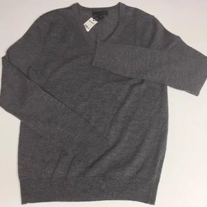 Express-Extra Fine Merino Wool V-Neck Sweater Gray