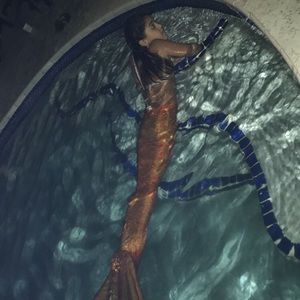 Meet your Posher, Paula