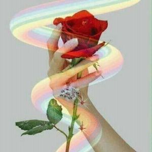 Meet your Posher, Marlene