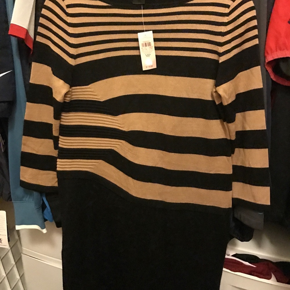 Ann Taylor new fitted sweater dress. Med petite.