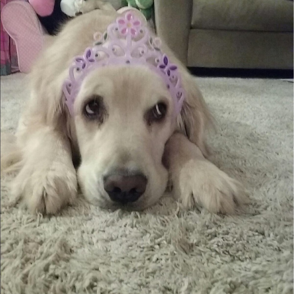 Meet your Posher, Katie