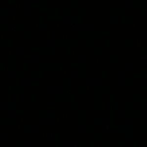 Meet your Posher, Willie