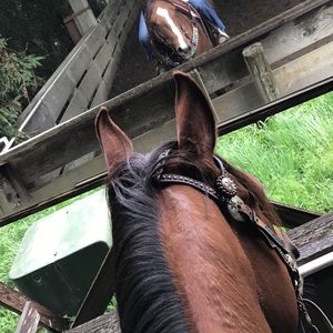 Meet your Posher, Karly