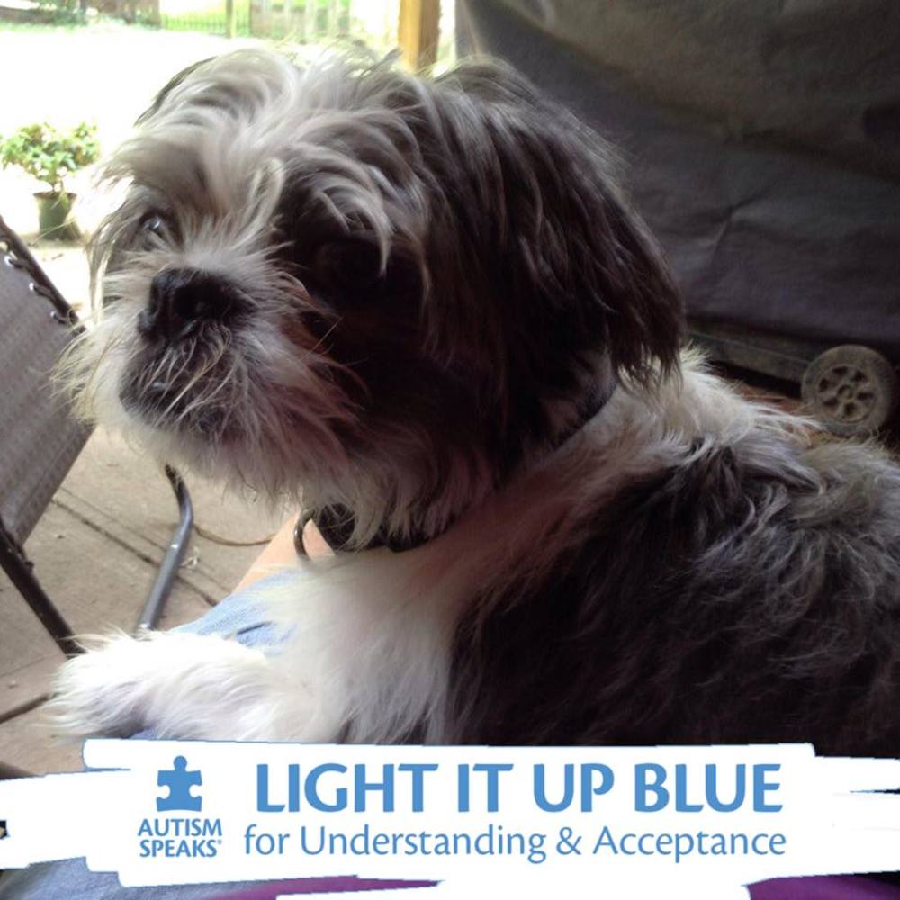 Meet your Posher, Dave shelly