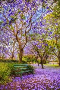 Meet your Posher, Saiqa