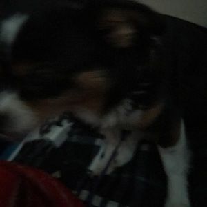 Meet your Posher, Nuvia