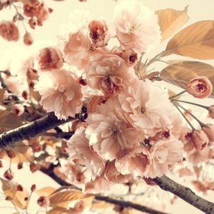 Meet your Posher, Irina