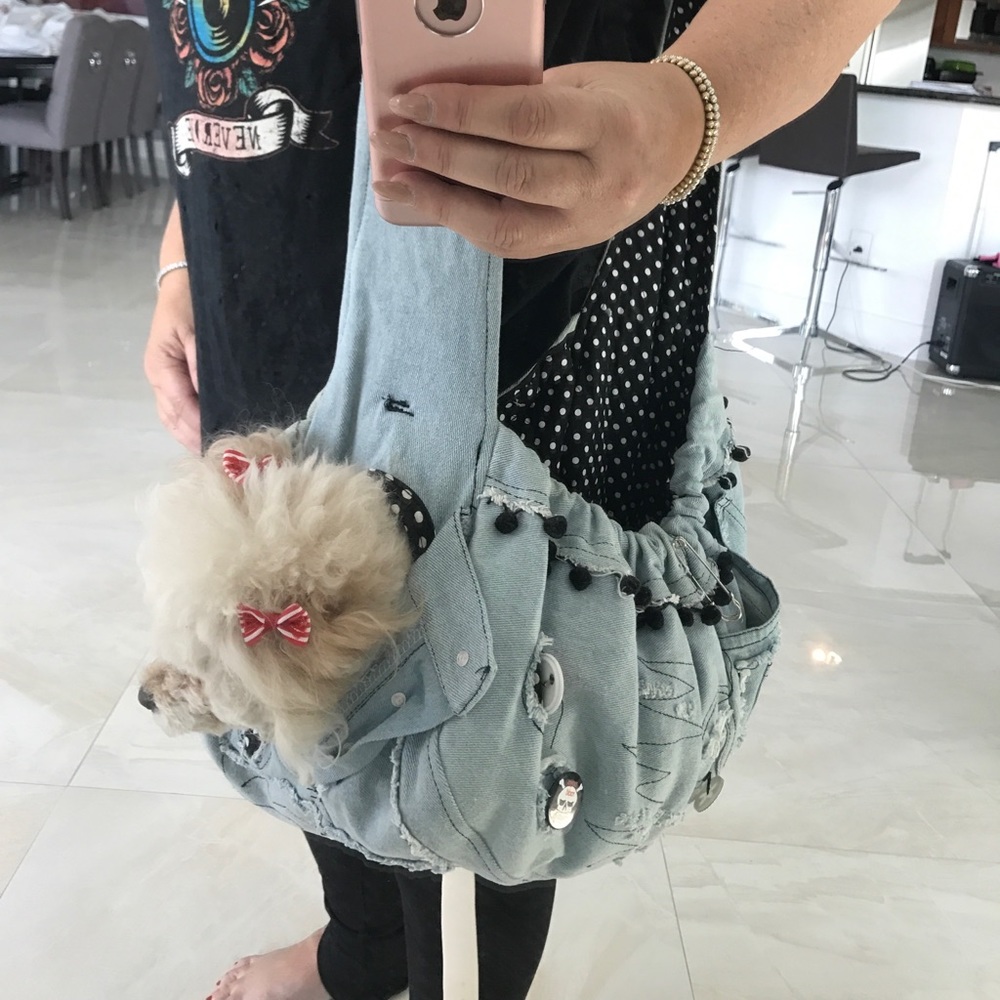 Dog bag carrier