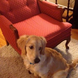 Meet your Posher, Dalynn