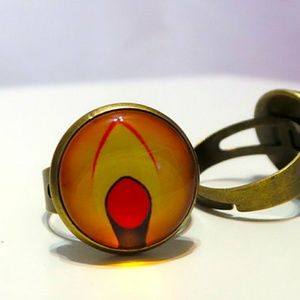 Bioshock Incinerate Adjustable Ring