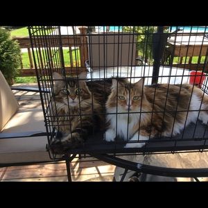 My Girls 💋 Penny and Peanut 😍