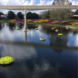 Meet your Posher, Leah