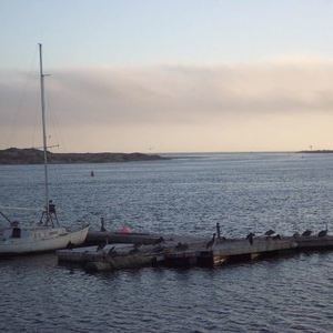 Meet your Posher, Vicki