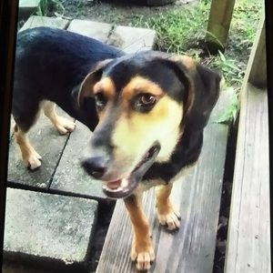 Meet your Posher, Alfreda