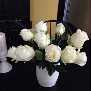 Meet your Posher, Gloria