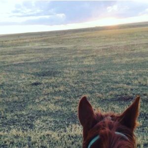 Meet your Posher, Victoria