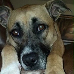 Meet your Posher, Annette