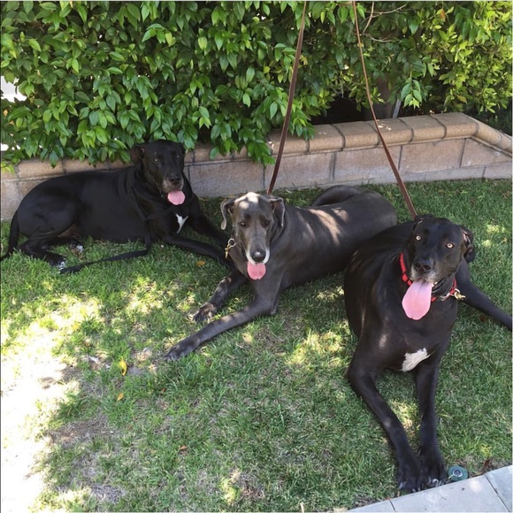 🌻 - Picture 8 of 8