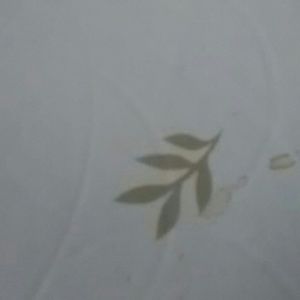 Meet your Posher, Oscar