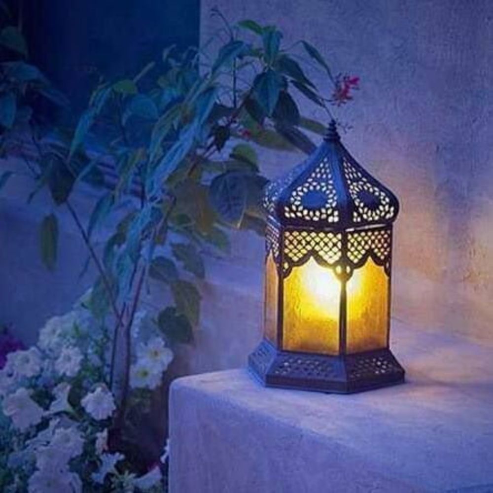 Meet your Posher, Claudia