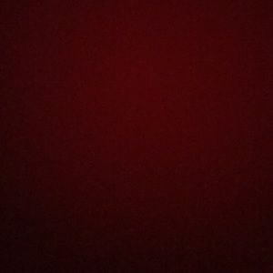 Meet your Posher, Natasha