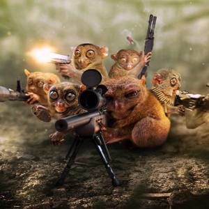 Meet your Posher, Noah