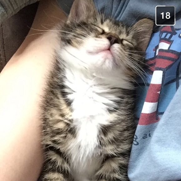 Meet your Posher, Jennifer - Picture 4 of 5