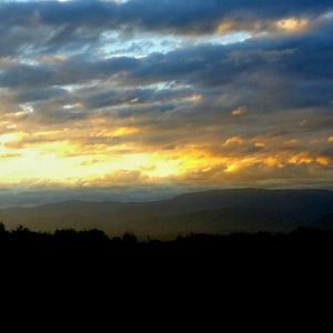 Meet your Posher, Tannon