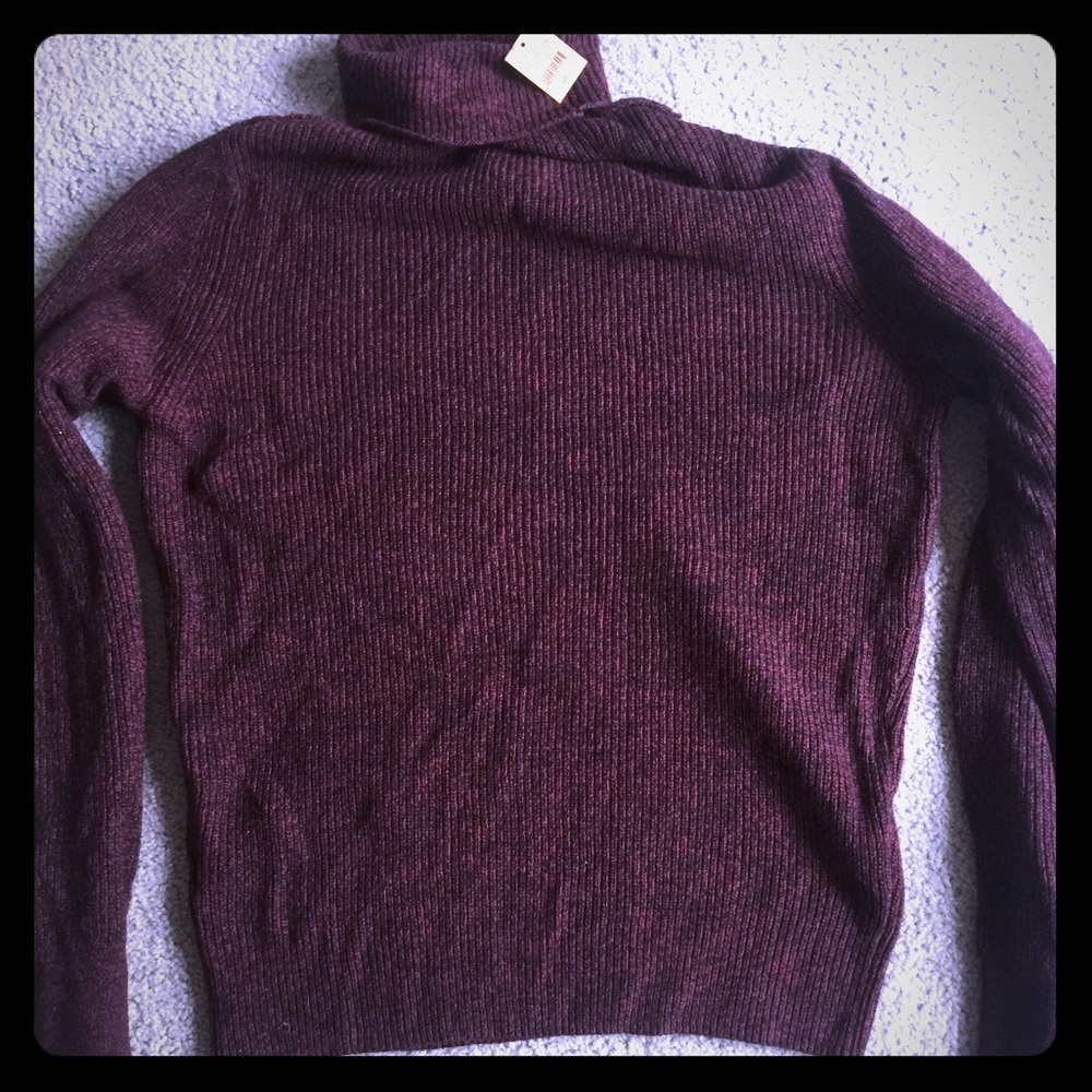 Maroon American Eagle sweater