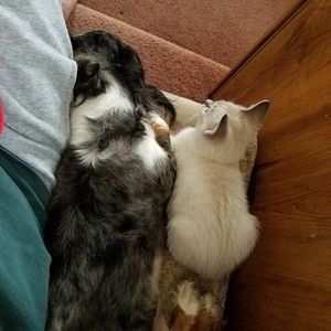 Meet your Posher, Terry