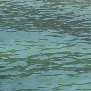 Meet your Posher, Luke