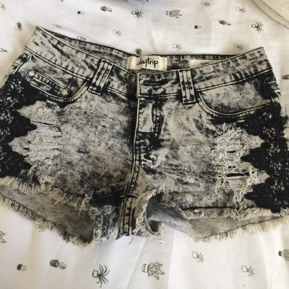 Day trip distressed shorts