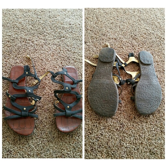 Black and Gold Gladiators - Picture 2 of 4