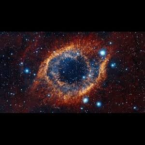 Meet your Posher, Bryson