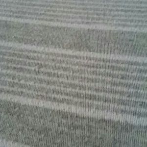 Meet your Posher, Ledonia