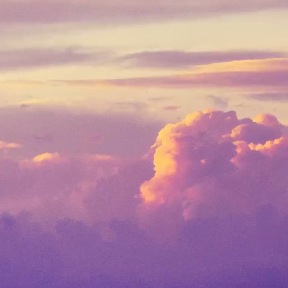 Meet your Posher, Sadie