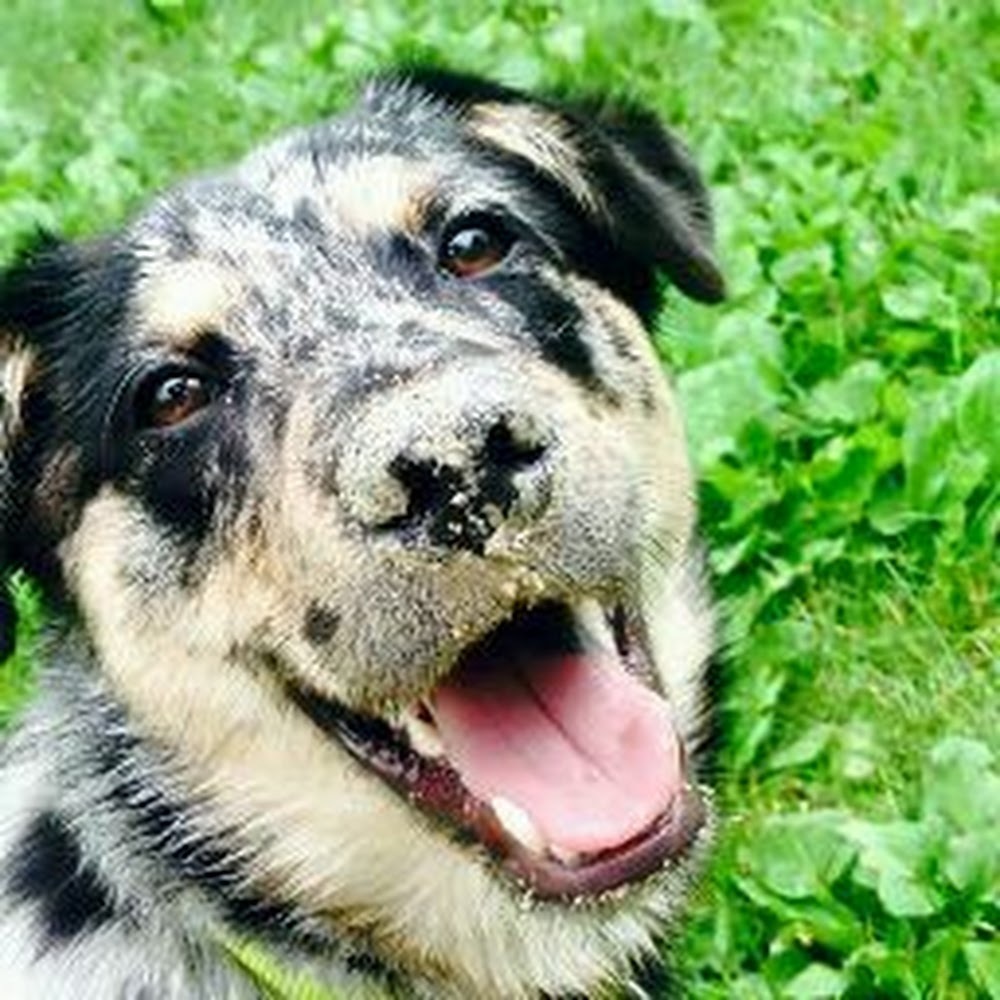 Meet your Posher, Tegan