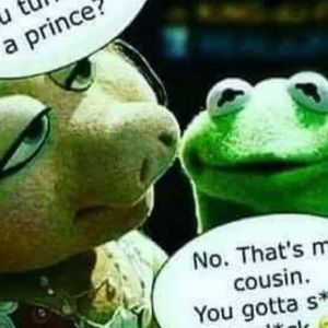 Meet your Posher, Toby