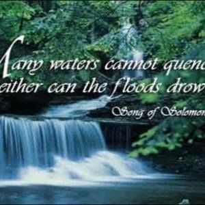 Meet your Posher, Ivan