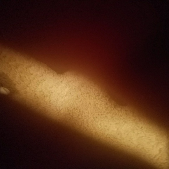 Meet your Posher, Tnae - Picture 1 of 1