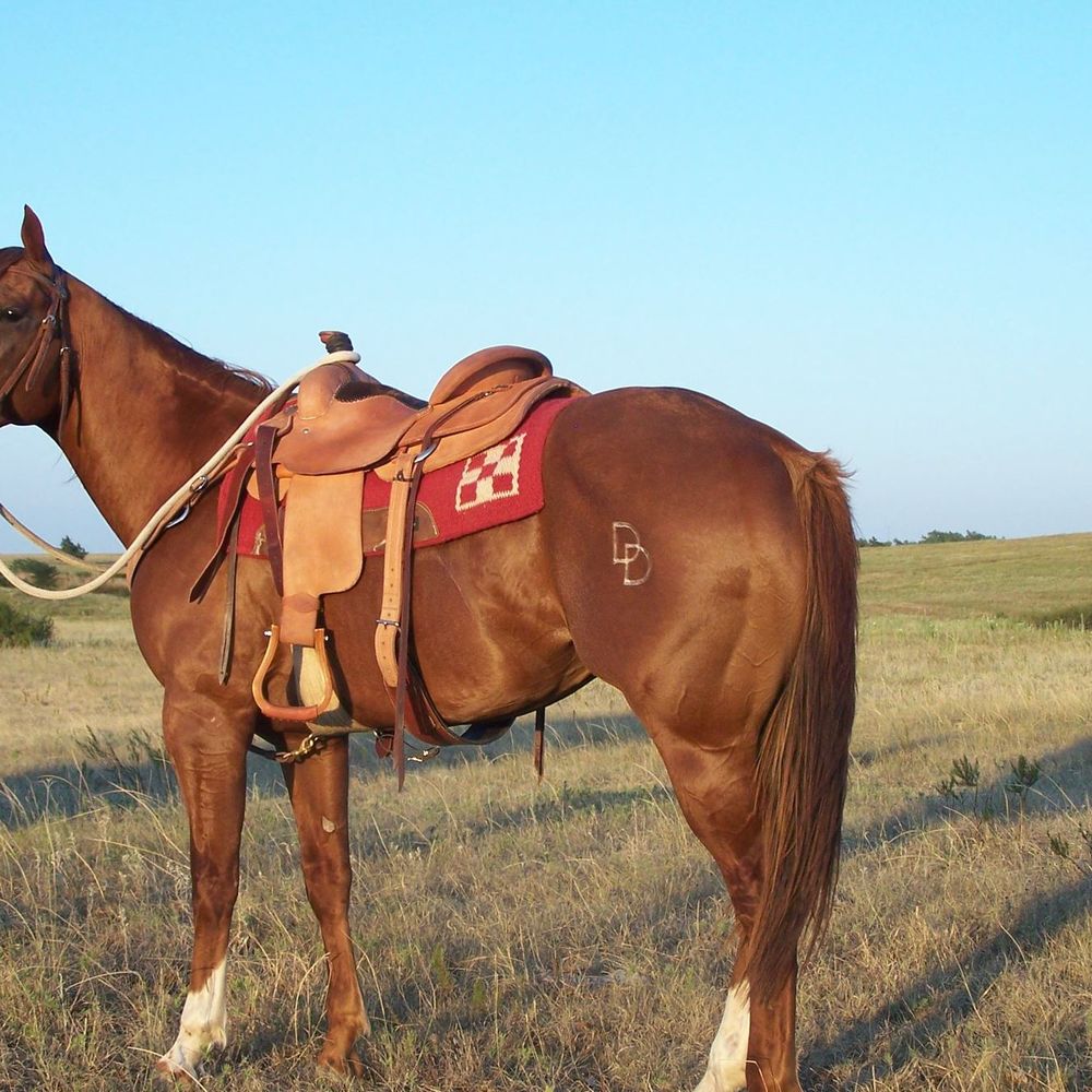 Meet your Posher, Doreen