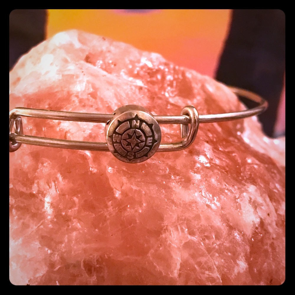 Alex and Ani Sacred Studs Compass