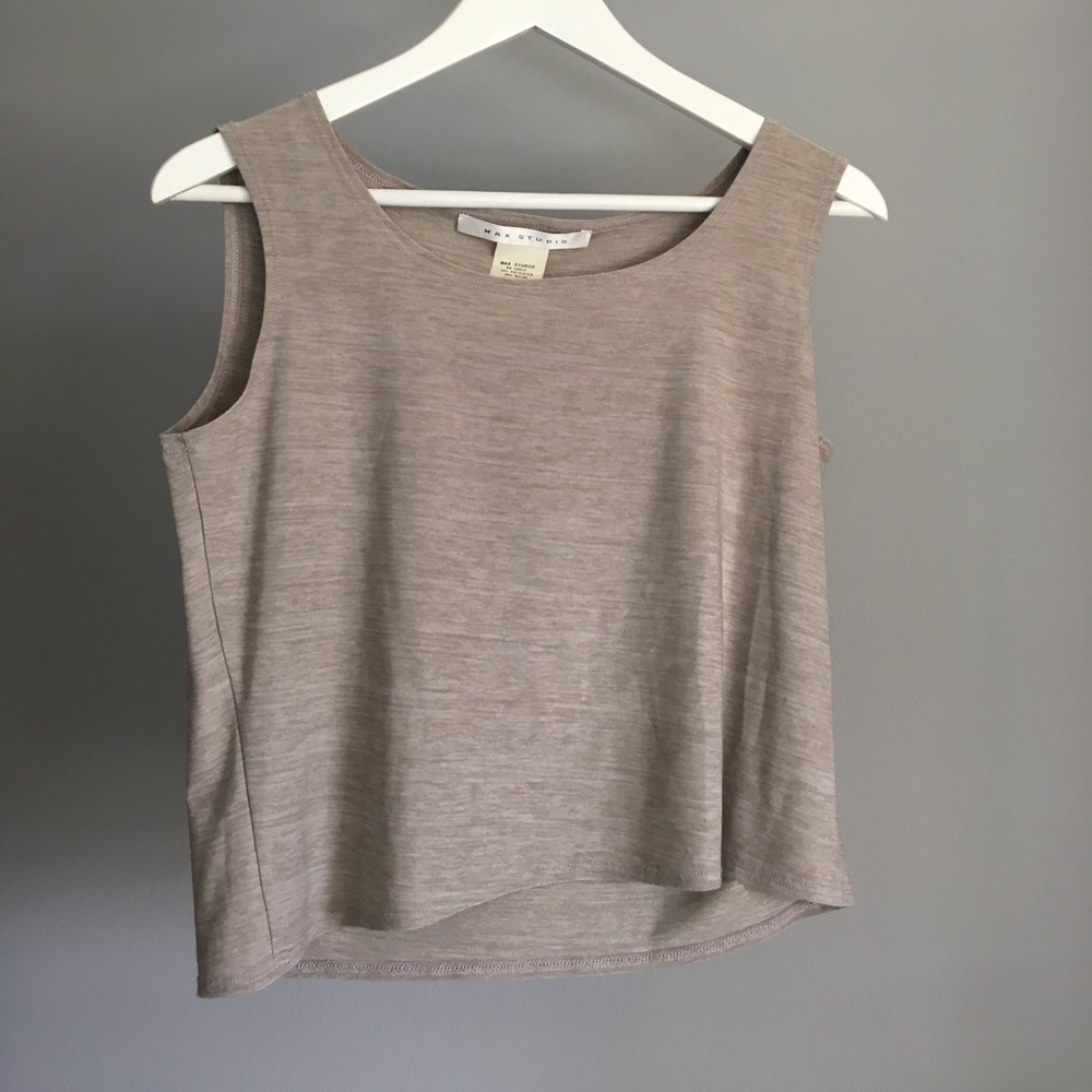 Max Studios Crop Top