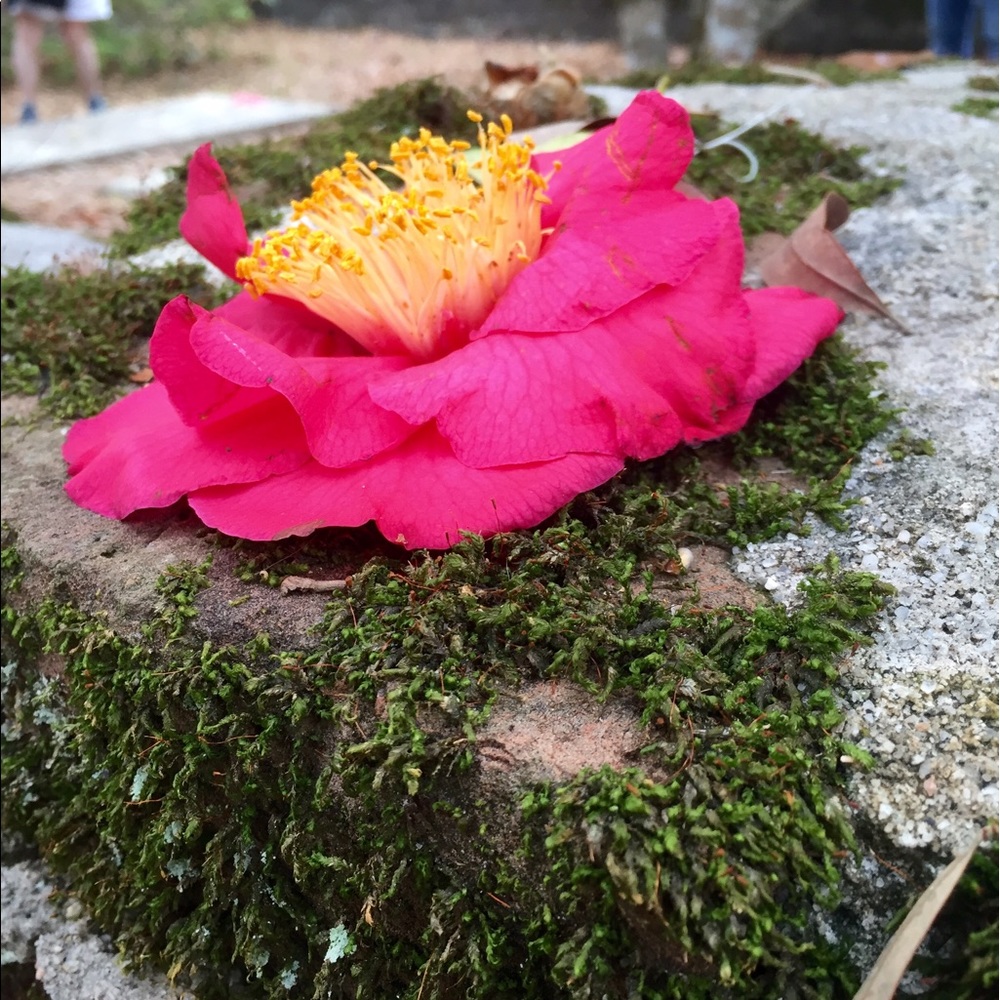 Meet your Posher, Hope